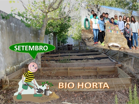 BIO HORTA: setembro.. Tudo... por recomeçar!